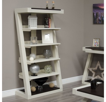 painted-z-large-bookcase-and-wenge-top-PZLBC_AND_PZLBCWENTOP-416x400-1.jpg
